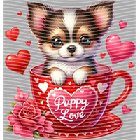 Valentine's Day-QRJ  2050